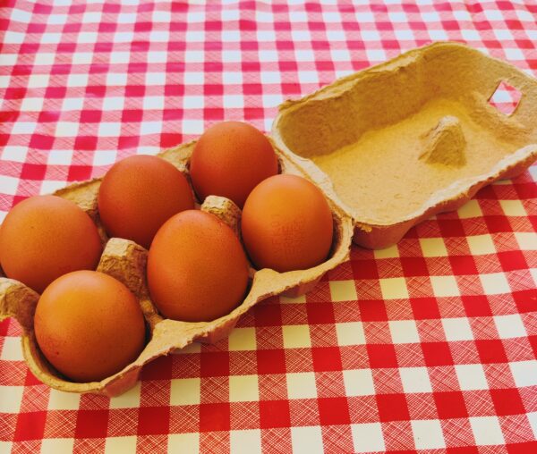 Oeufs
