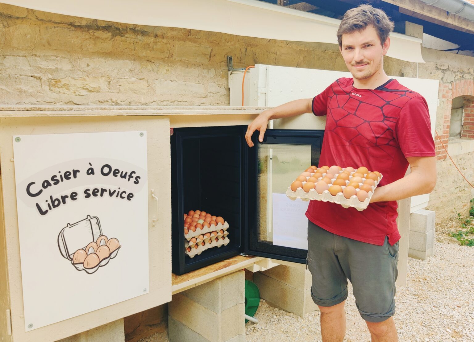 Casiers à oeufs sur la ferme
